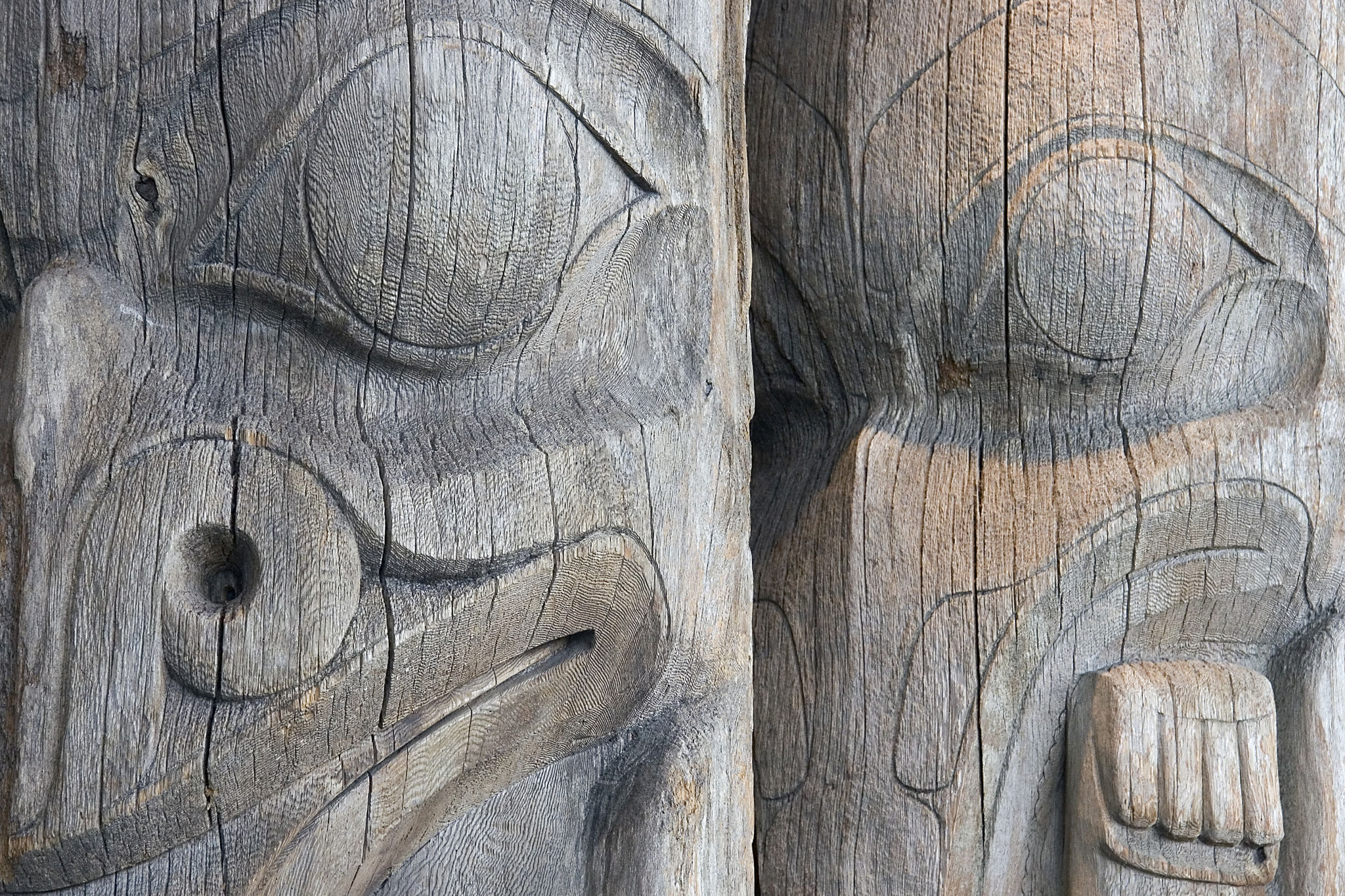 native trees