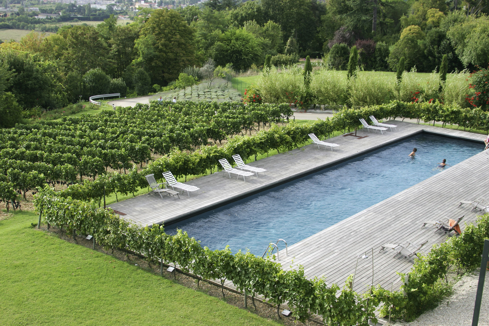 vineyard accommodation