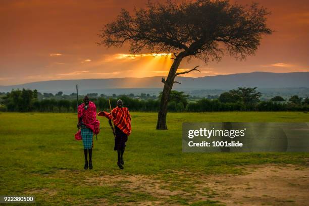 afrikanischen masai krieger bei sonnenaufgang - masai mara national reserve stock-fotos und bilder