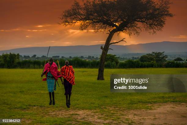 african masai warriors at sunrise - sun gun stock pictures, royalty-free photos & images