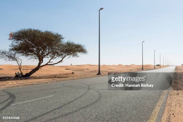 freie straße in der wüste von dubai - hannah bichay stock pictures, royalty-free photos & images