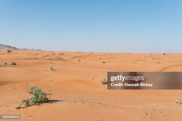 reifenspuren in der wüste von dubai - wüste stockfoto's en -beelden