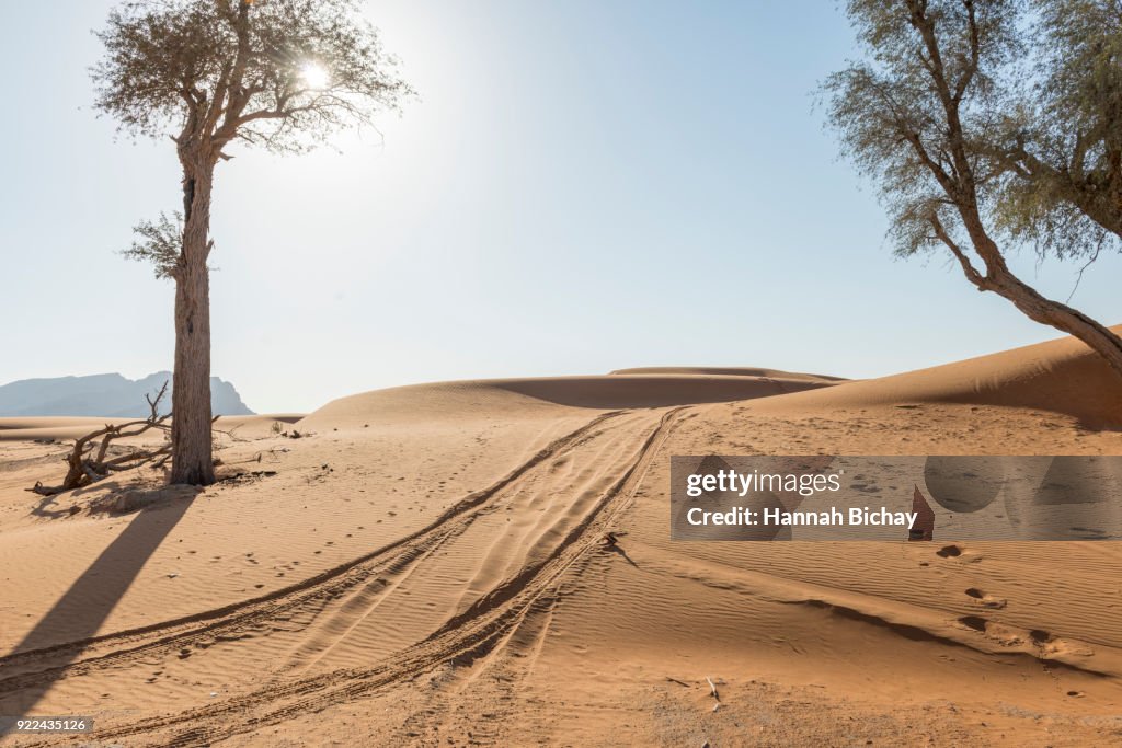 Reifenspuren in der Wüste von Dubai