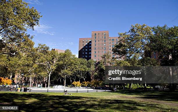 Trees stand in the Stuyvesant Oval in the Stuyvesant Town-Peter Cooper Village complex in New York, U.S., on Thursday, Oct. 22, 2009. Tishman Speyer...