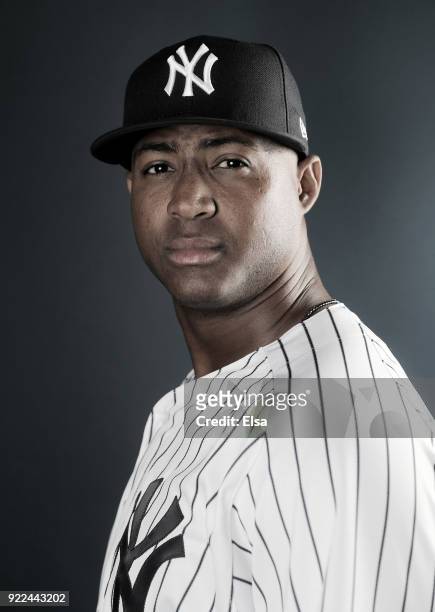 Domingo Acevedo of the New York Yankees poses for a portrait during the New York Yankees photo day on February 21, 2018 at George M. Steinbrenner...