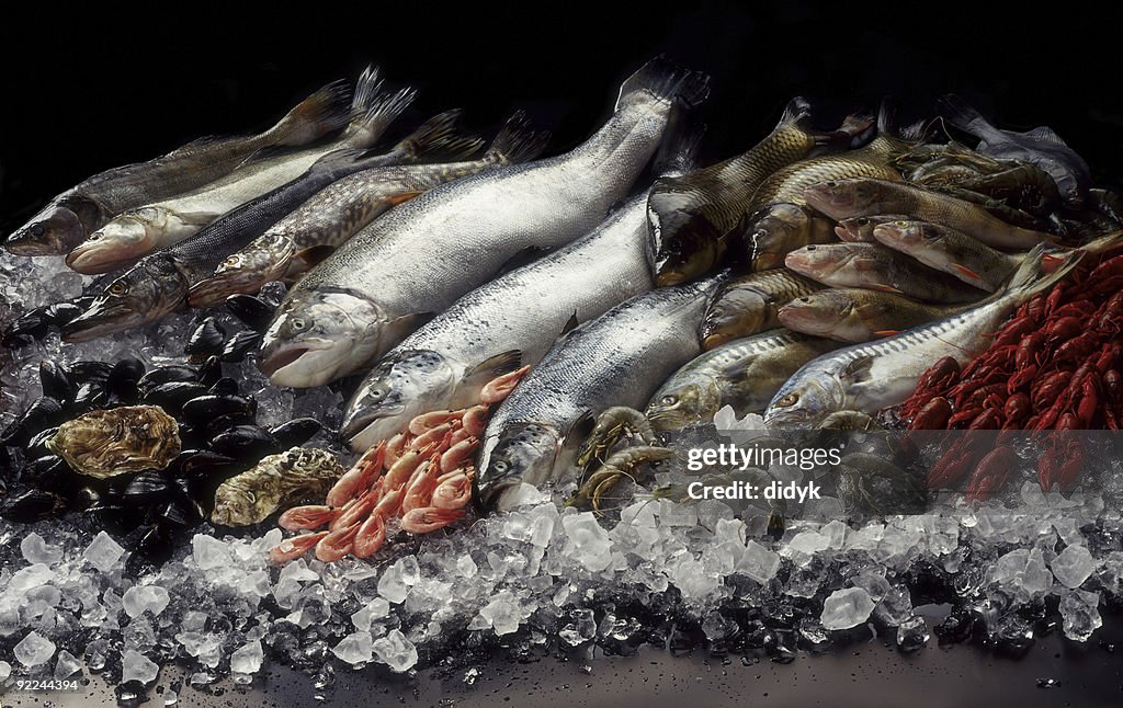 魚の静物