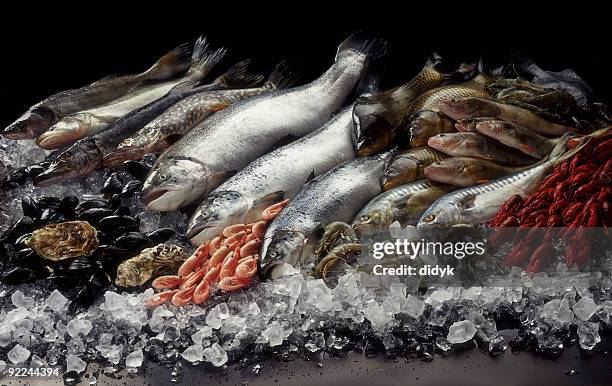 fish still life - vismarkt stockfoto's en -beelden