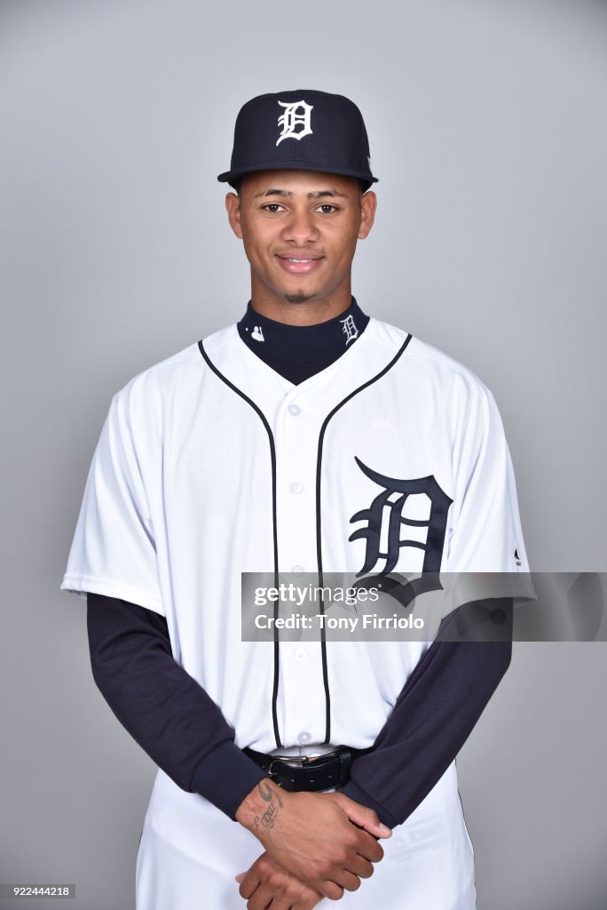 2018 Detroit Tigers Photo Day