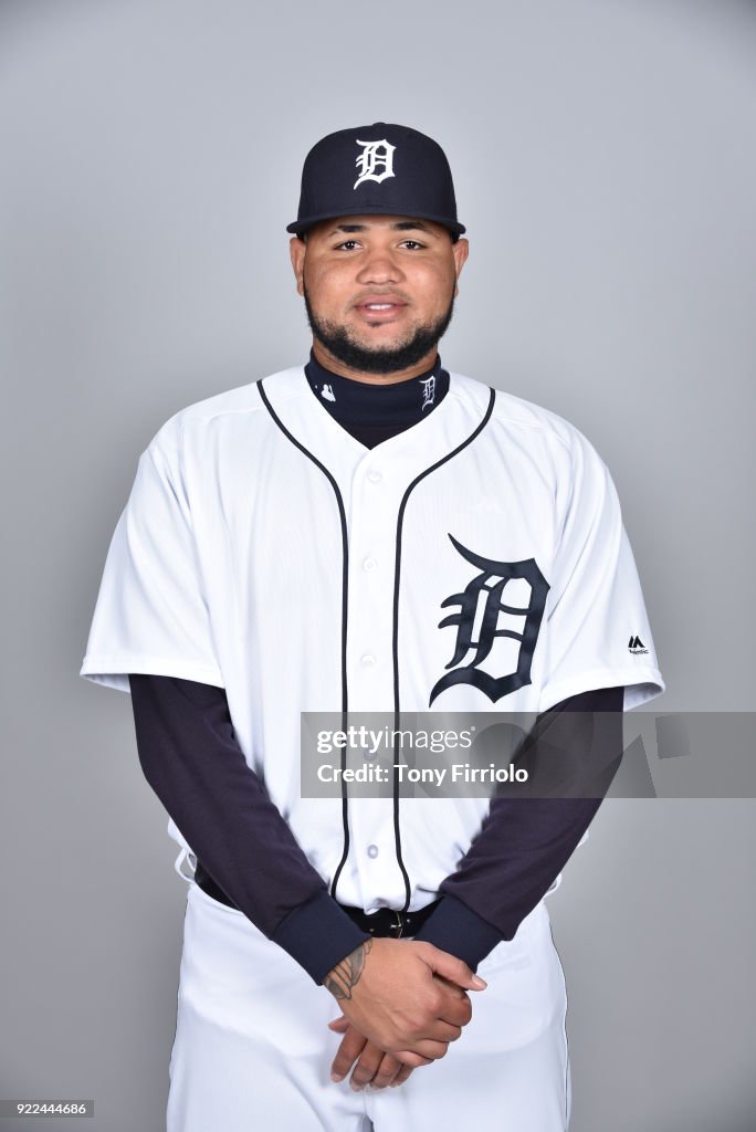 2018 Detroit Tigers Photo Day