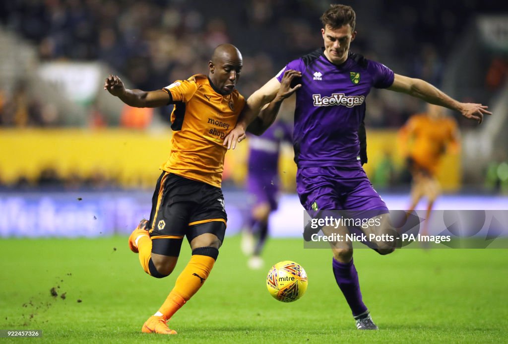 Wolverhampton Wanderers v Norwich City - Sky Bet Championship - Molineux