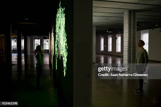 Detail of the Jennifer Steinkamp exhibition at Telefonica Foundation on February 21, 2018 in Madrid, Spain.