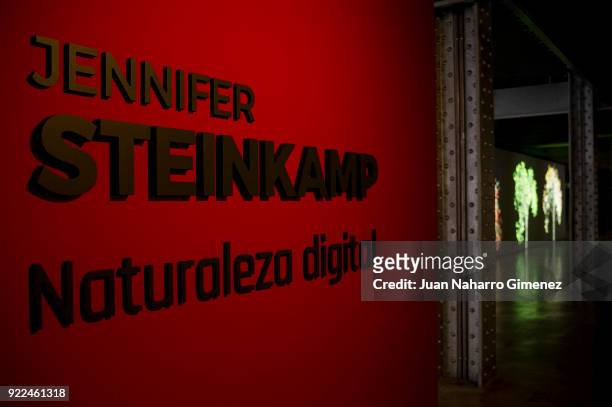 Detail of the Jennifer Steinkamp exhibition at Telefonica Foundation on February 21, 2018 in Madrid, Spain.