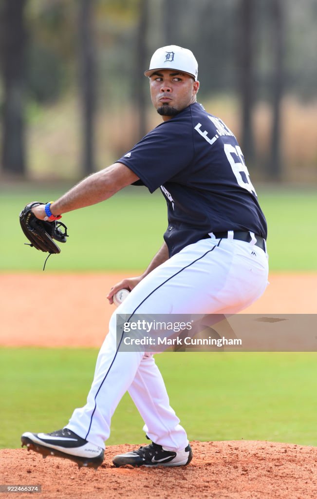 Detroit Tigers Workouts