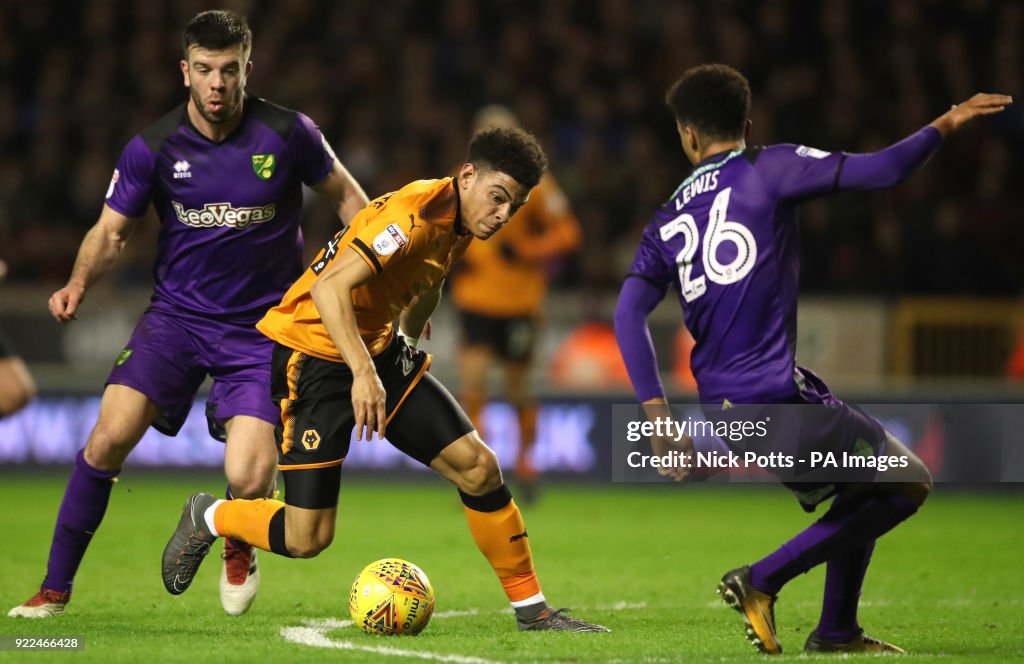 Wolverhampton Wanderers v Norwich City - Sky Bet Championship - Molineux