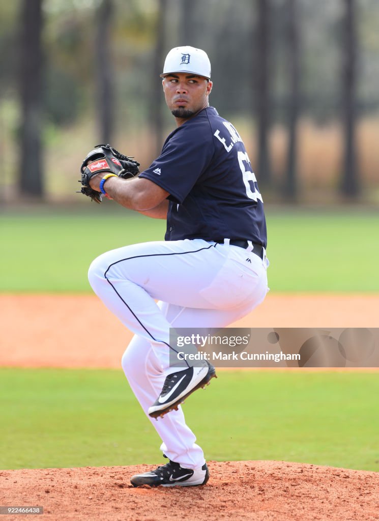 Detroit Tigers Workouts