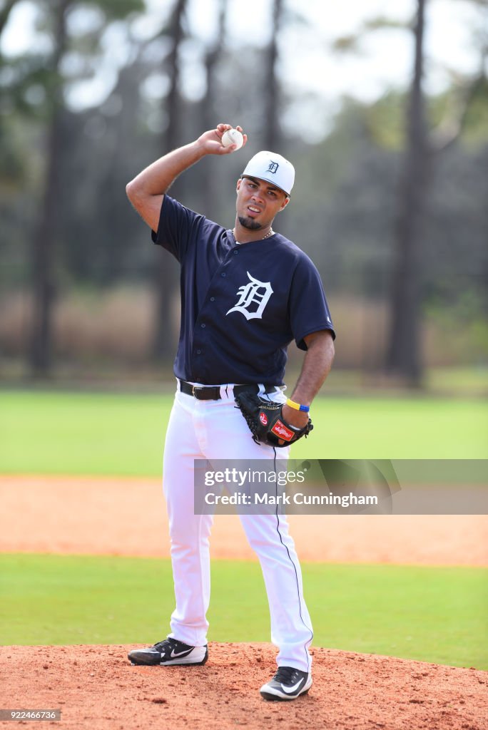 Detroit Tigers Workouts