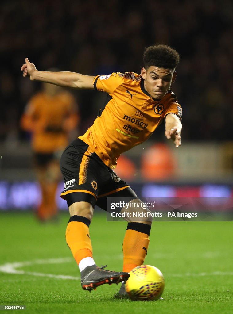 Wolverhampton Wanderers v Norwich City - Sky Bet Championship - Molineux