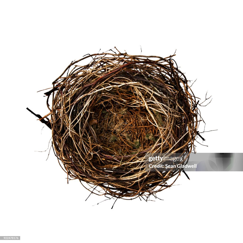 Empty bird nest