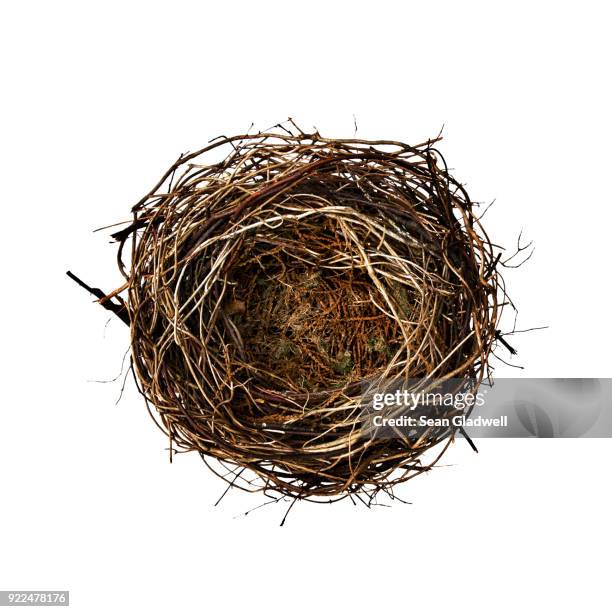 empty bird nest - vogelnest stock-fotos und bilder