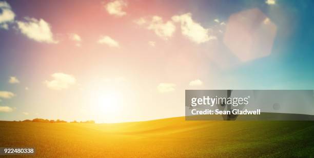 sundown over hills - sunny field stock pictures, royalty-free photos & images