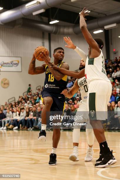 DeQuan Jones of the Fort Wayne Mad Ants handles the ball during the game against the Wisconsin Herd on FEBRUARY 21, 2018 at the Menominee Nation...