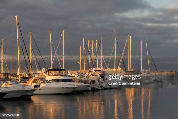 yachts at marina - mount pleasant south carolina stock pictures, royalty-free photos & images