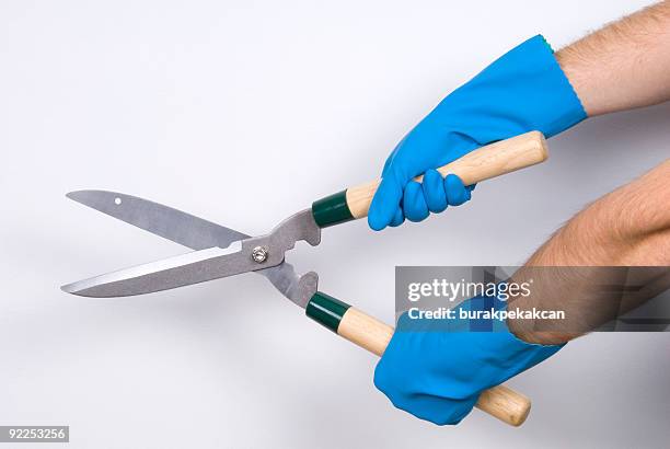 garden shears on a plain background, turkey, istanbul - snoeischaar stockfoto's en -beelden