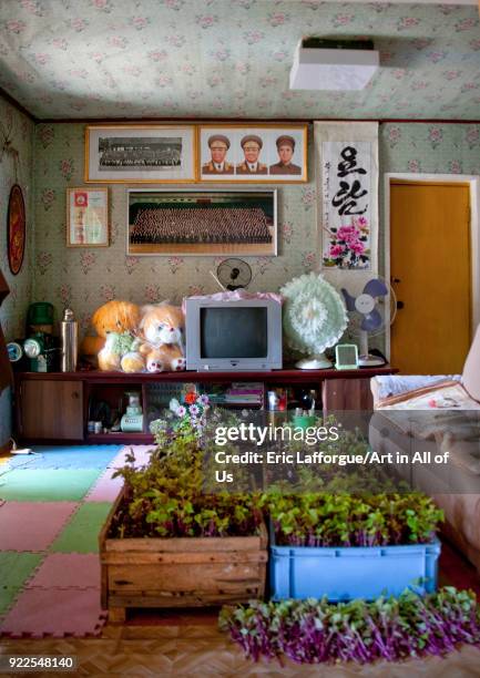 North Korean living room in a homestay, North Hamgyong Province, Jung Pyong Ri, North Korea on May 8, 2010 in Jung Pyong Ri, North Korea.
