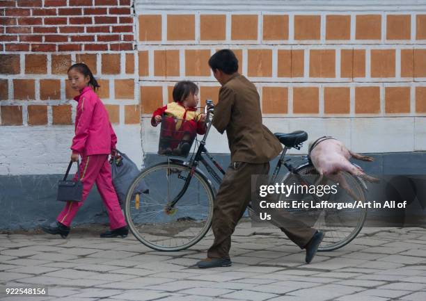 North Korean man pushing a bicycle with a pig on the luggage rack, North Hwanghae Province, Kaesong, North Korea on September 11, 2011 in Kaesong,...