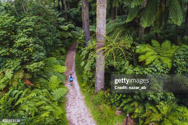 luftaufnahme der mann läuft durch wald. - rotorua stock-fotos und bilder