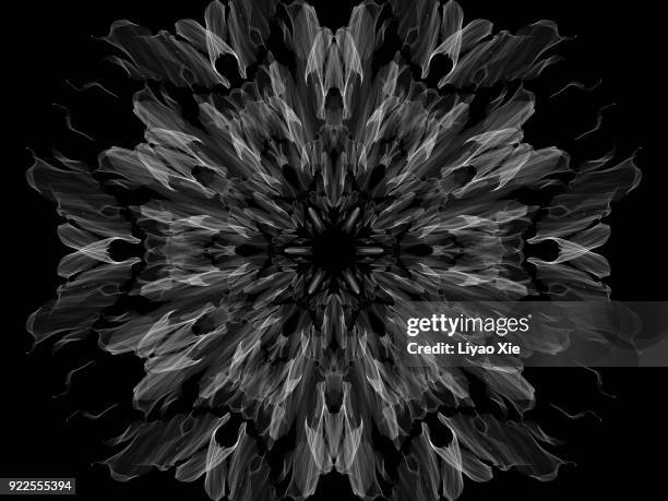 black&white patterns - dark floral stockfoto's en -beelden