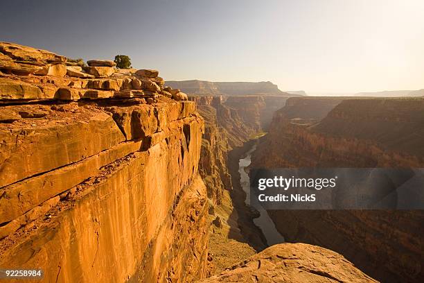 grand canyon-toroweap point - versante nord del grand canyon foto e immagini stock