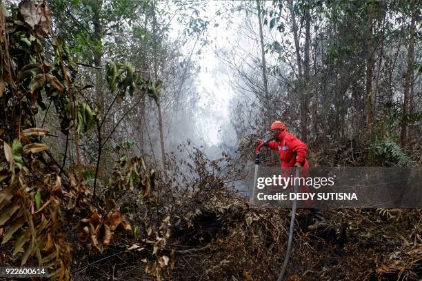 This picture taken on February 21, 2018 shows an Indonesian firefighter extinguishing a wildfire in Pekanbaru, Riau province. Indonesia was battling...