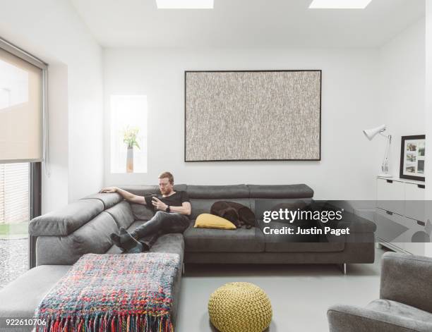 man on living room sofa with two dogs - man living room stockfoto's en -beelden