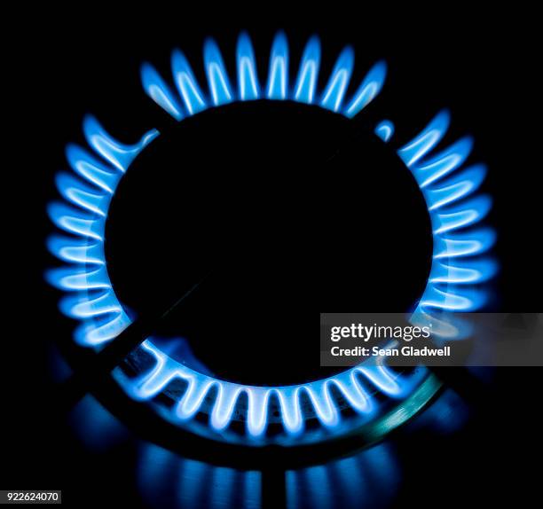 gas flame on the hob - hob stock pictures, royalty-free photos & images