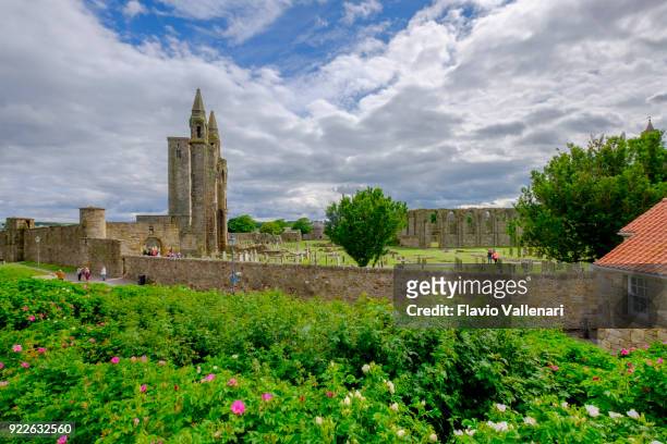 st andrews cathedral en st rule de toren, st andrews - schotland - glasgow scozia stockfoto's en -beelden