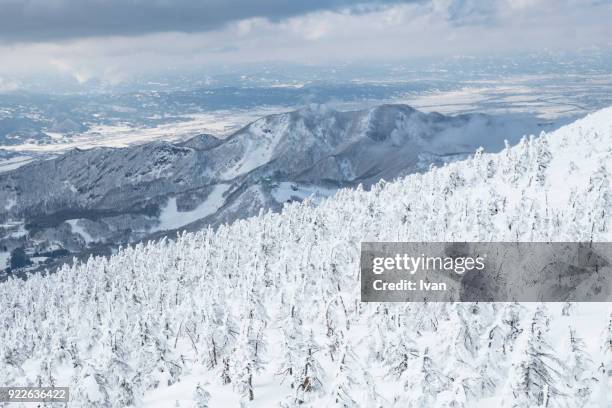 winter snow monsters and winter sport in zao onsen, japan - extreem skiën stockfoto's en -beelden