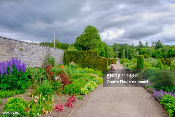 blair castle, the gardens - scotland - garden wall stock pictures, royalty-free photos & images