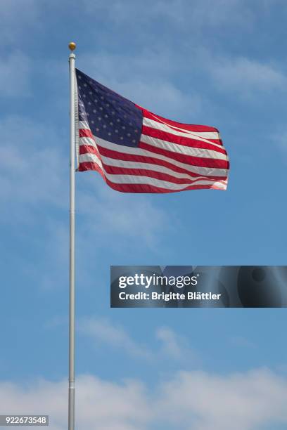 american flag - brigitte blättler stock pictures, royalty-free photos & images