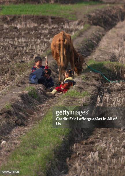 North Korean children sit in a field near a cow, Kangwon Province, Wonsan, North Korea on May 1, 2010 in Wonsan, North Korea.