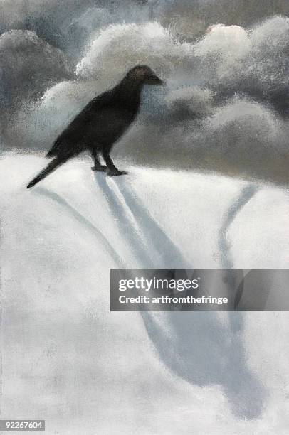 raven - white crow stock illustrations