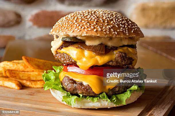 cheeseburger with french fries - hamburger photos et images de collection
