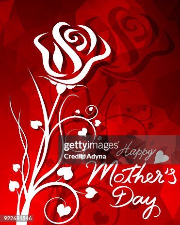 White Rose High-Res Vector Graphic - Getty Images