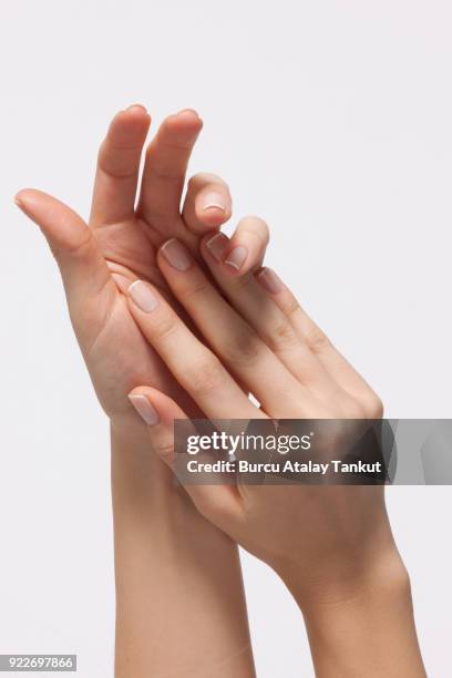 woman's hands with french manicure - french manicure stockfoto's en -beelden