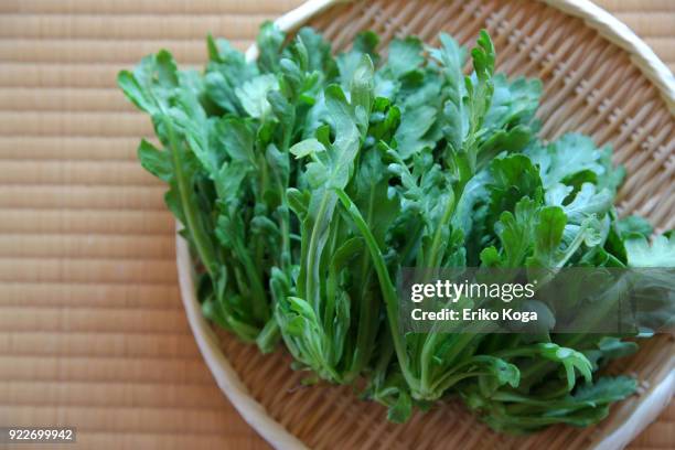 148点の春菊のストックフォト Getty Images 148点の春菊のストックフォト Getty Images