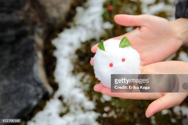 man showing snow rabbit called yukiusagi on hands - lagomorfos fotografías e imágenes de stock