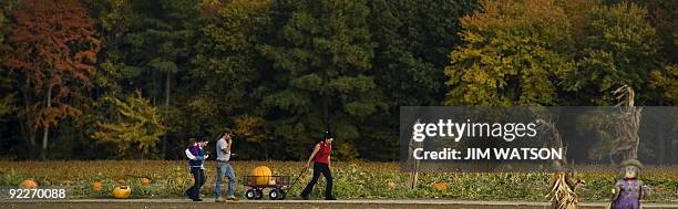 Family walks through a pumpkin patch on October 22, 2009 in Easton, MD. The annual holiday celebrated on October 31, Halloween has its roots in the...