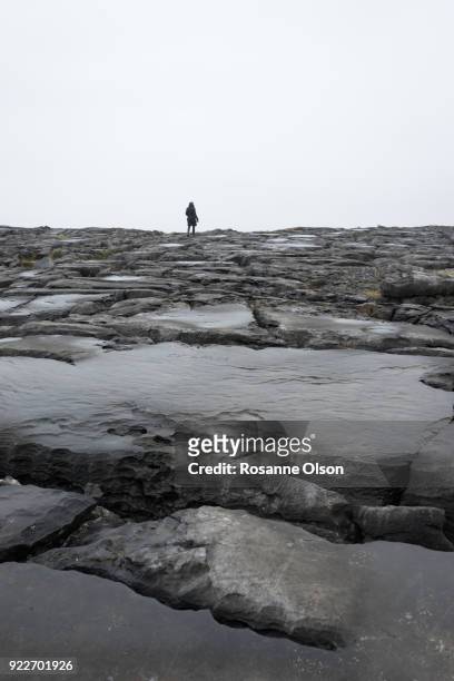 rock formation in ireland. - rosanne olson stockfoto's en -beelden