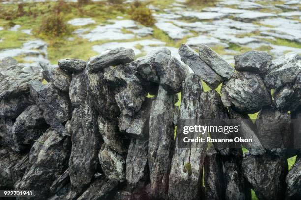 rock fence in ireland. - rosanne olson stockfoto's en -beelden