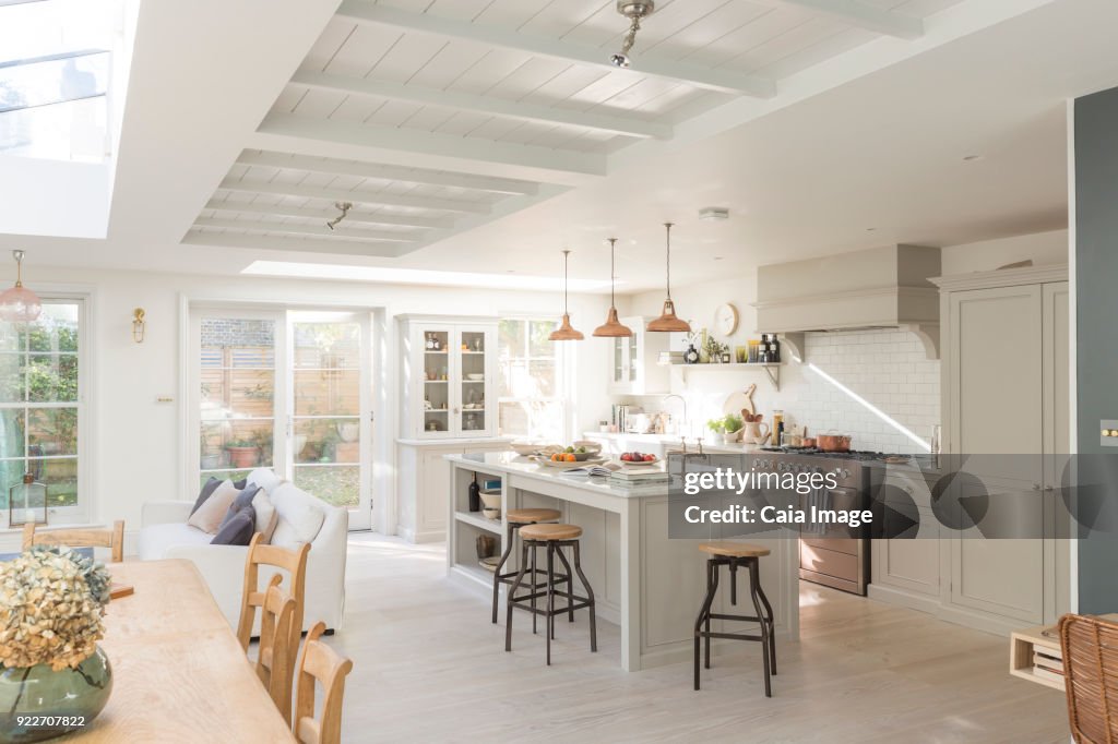 Luxury home showcase kitchen